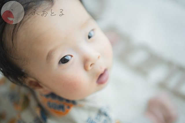 ゆうき　y_o_0084のポートフォリオ0