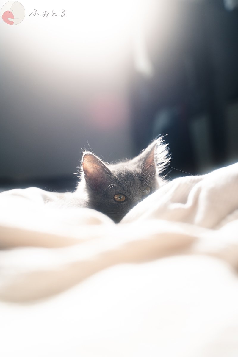 三浦宏太のポートフォリオ9