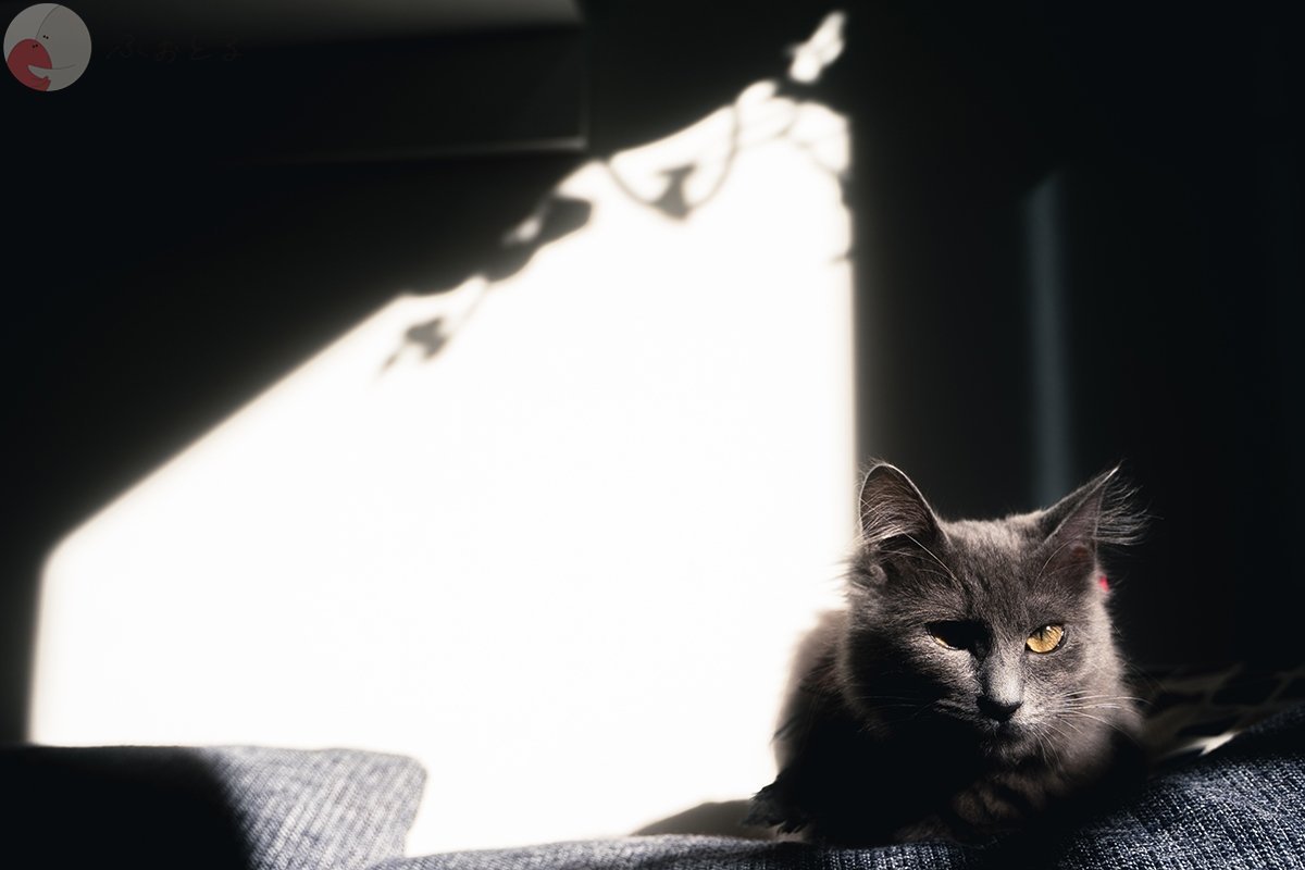 三浦宏太のポートフォリオ0