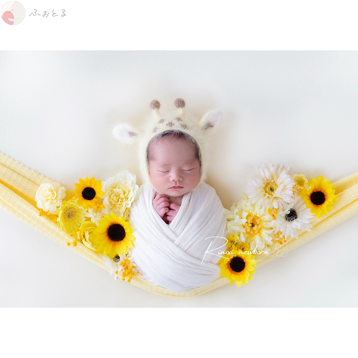 rinoa_newbornのポートフォリオ0