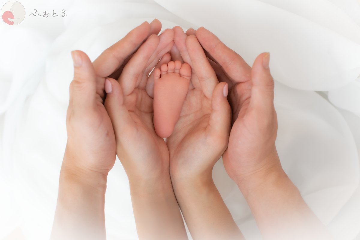 rinoa_newbornのポートフォリオ3