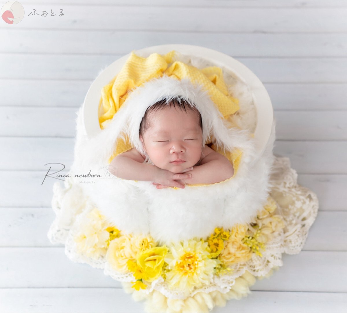 rinoa_newbornのポートフォリオ5