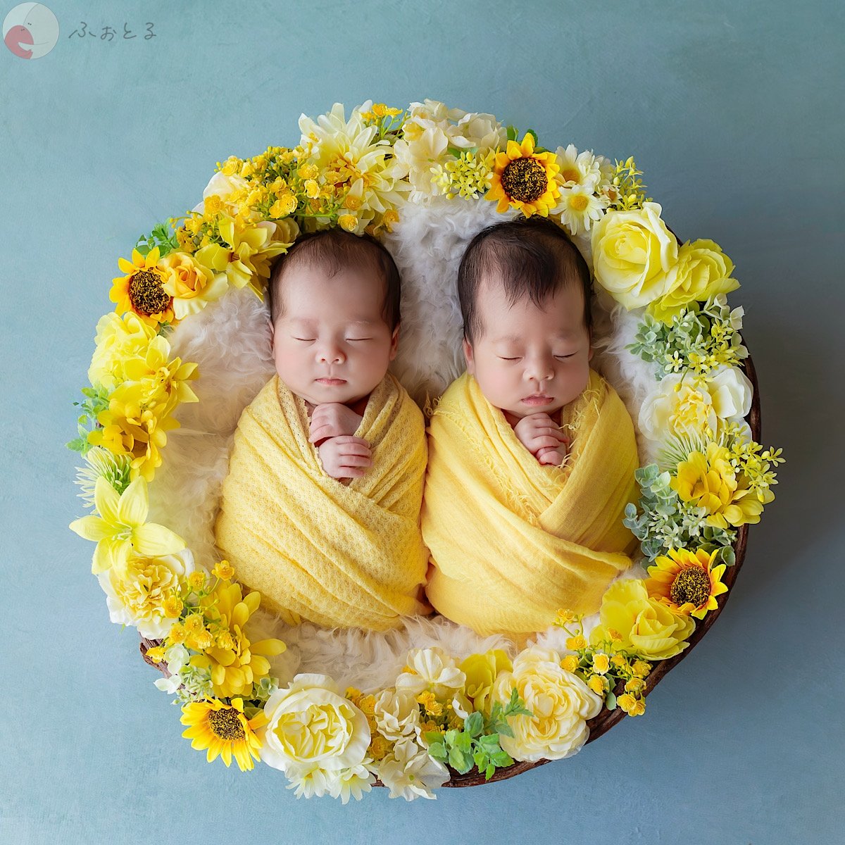 rinoa_newbornのポートフォリオ6