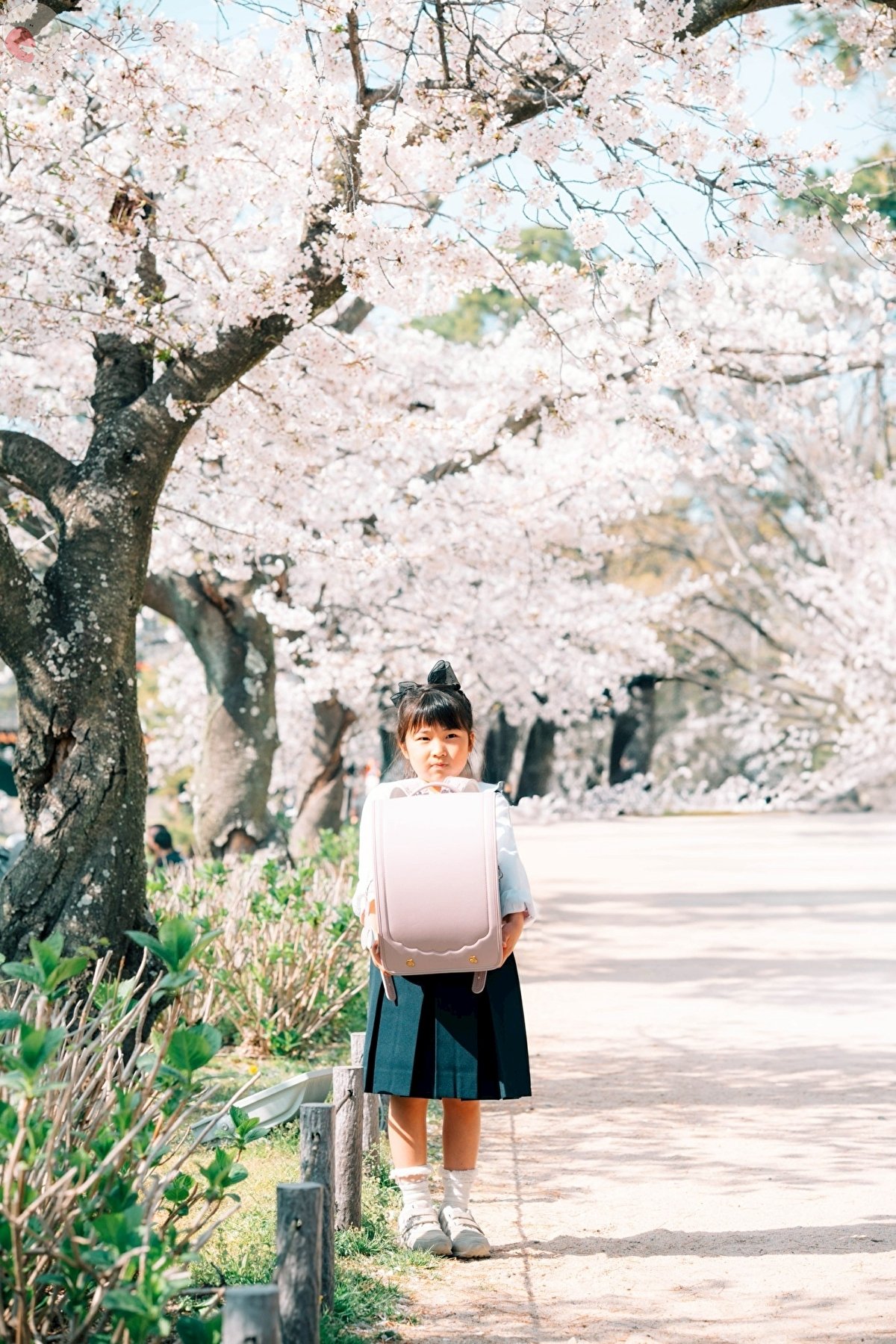 Kyoのポートフォリオ1