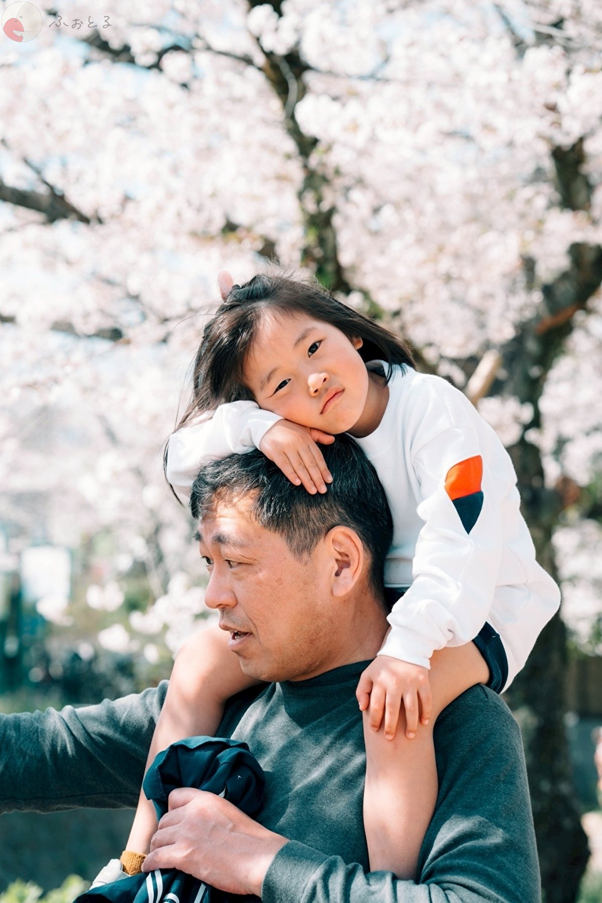 Kyoのポートフォリオ3