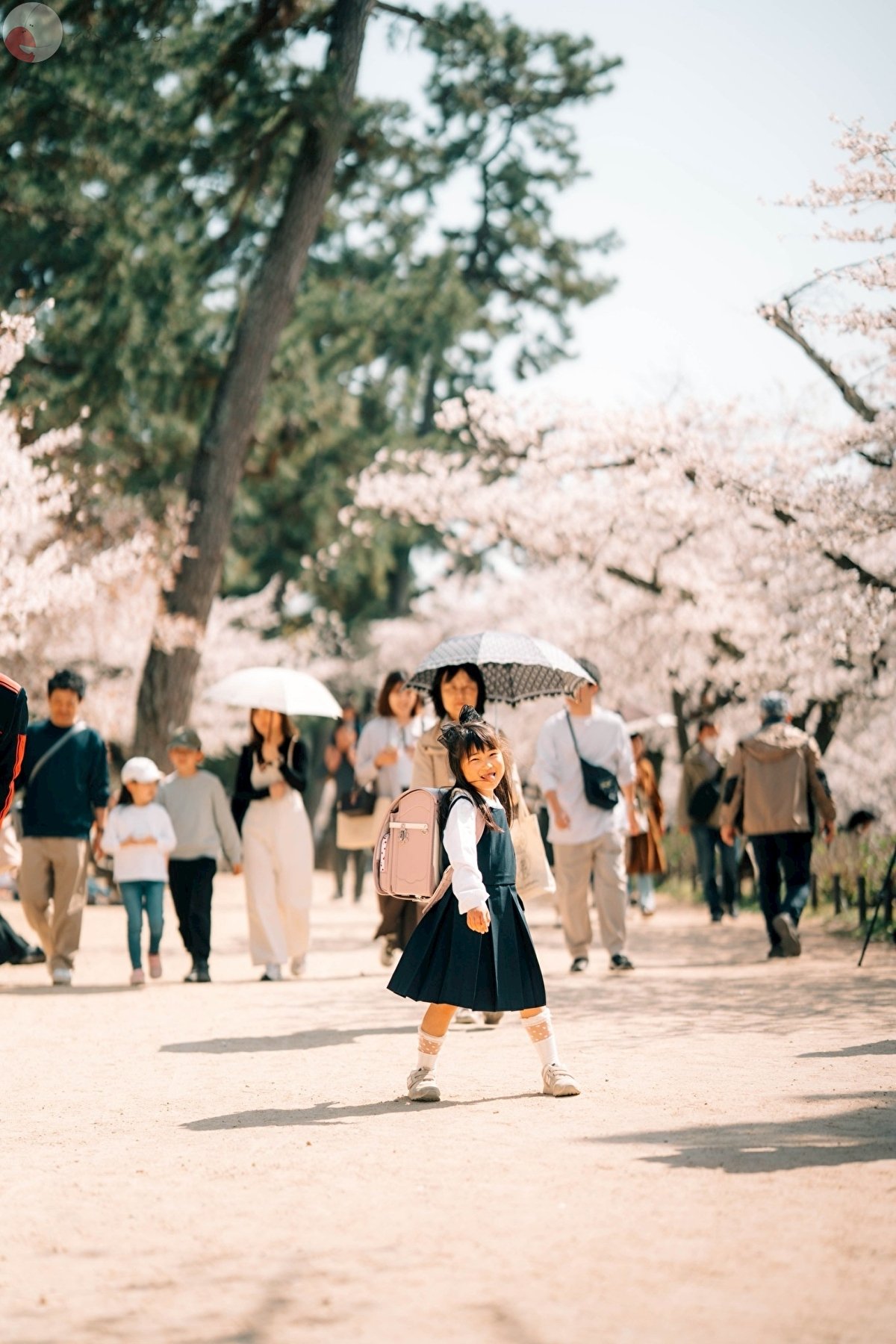 Kyoのポートフォリオ6