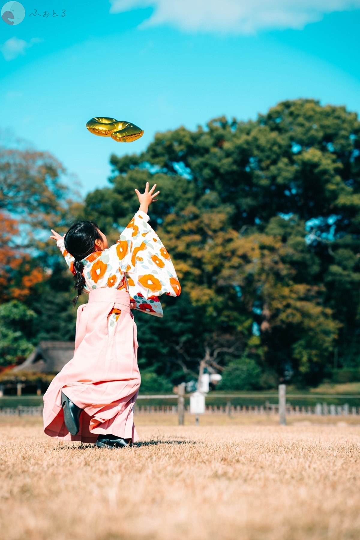 Kyoのポートフォリオ8