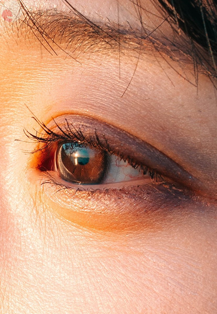 Kyoのポートフォリオ1