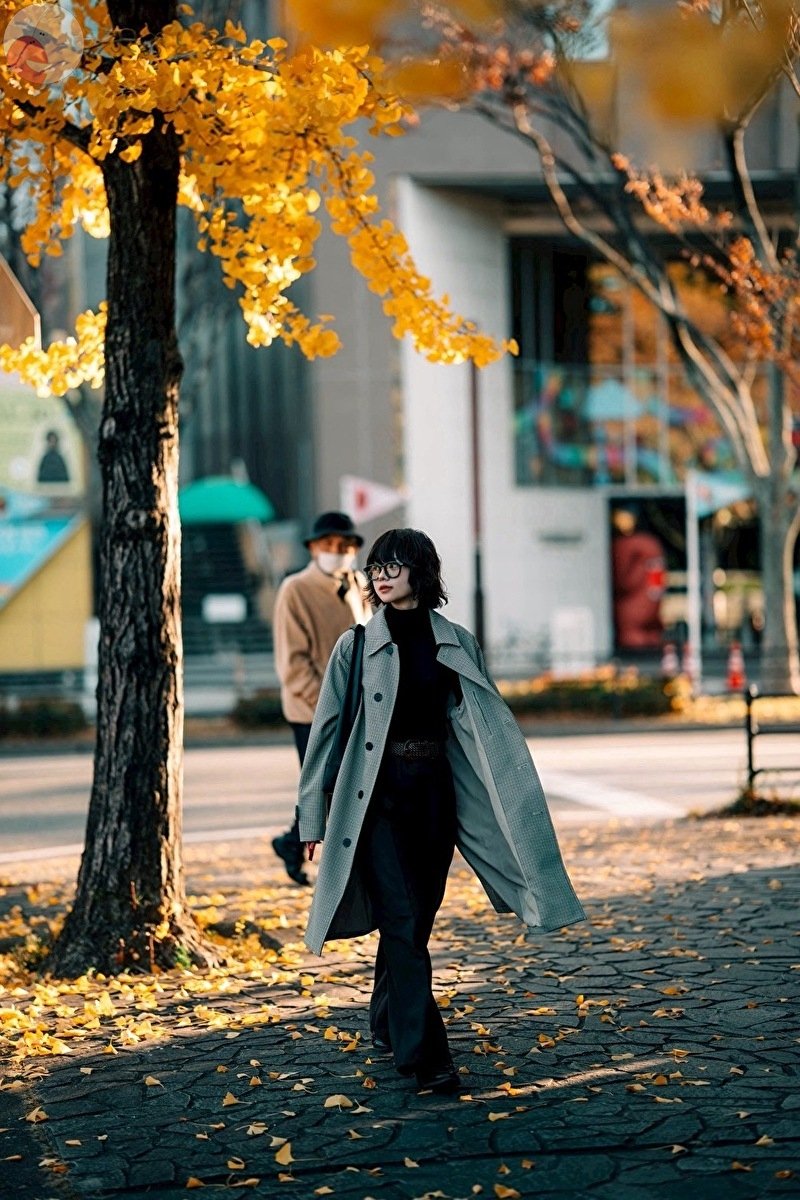 Kyoのポートフォリオ1