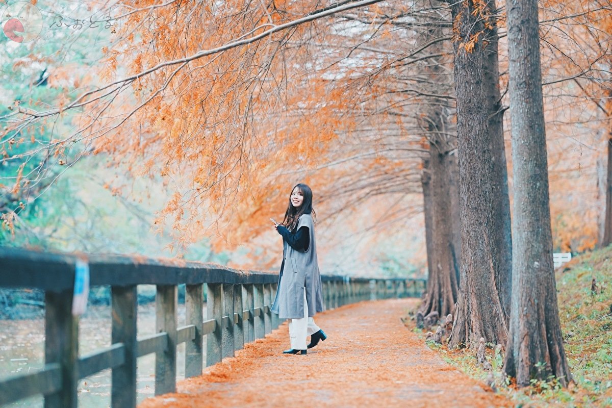 Kyoのポートフォリオ6