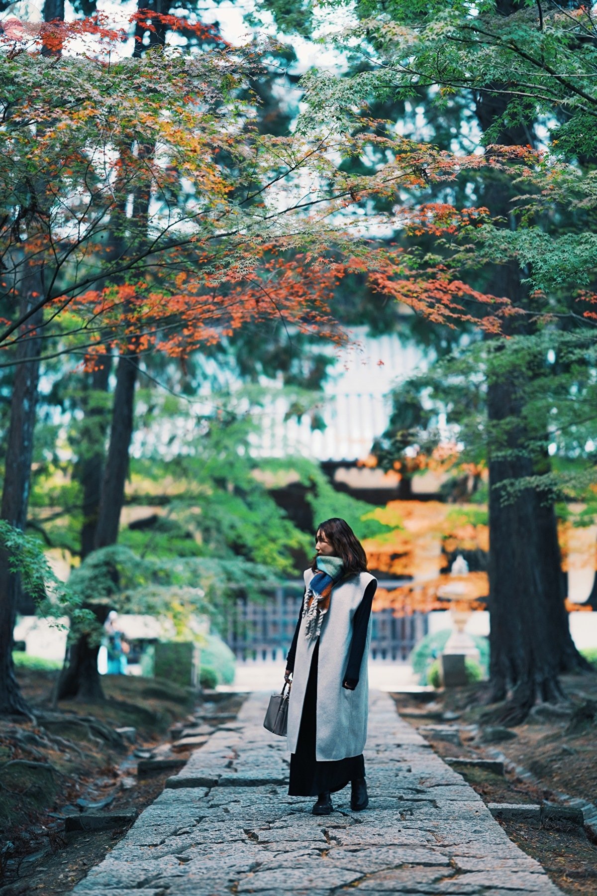 Kyoのポートフォリオ8