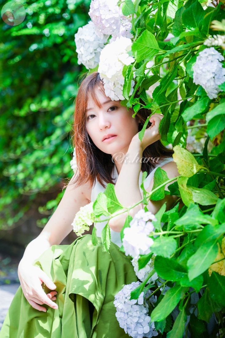 K.HARAのポートフォリオ7