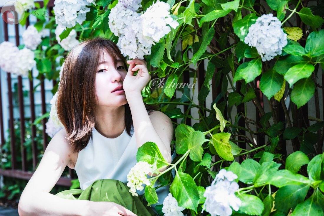 K.HARAのポートフォリオ0