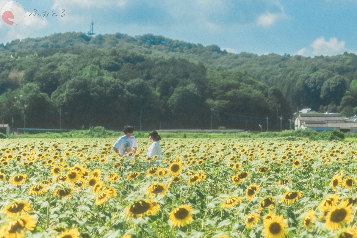 ひろきのポートフォリオ3