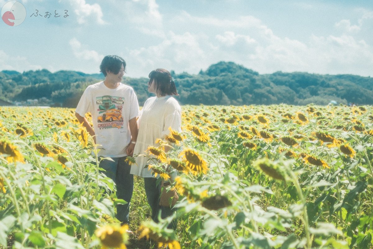 ひろきのポートフォリオ8