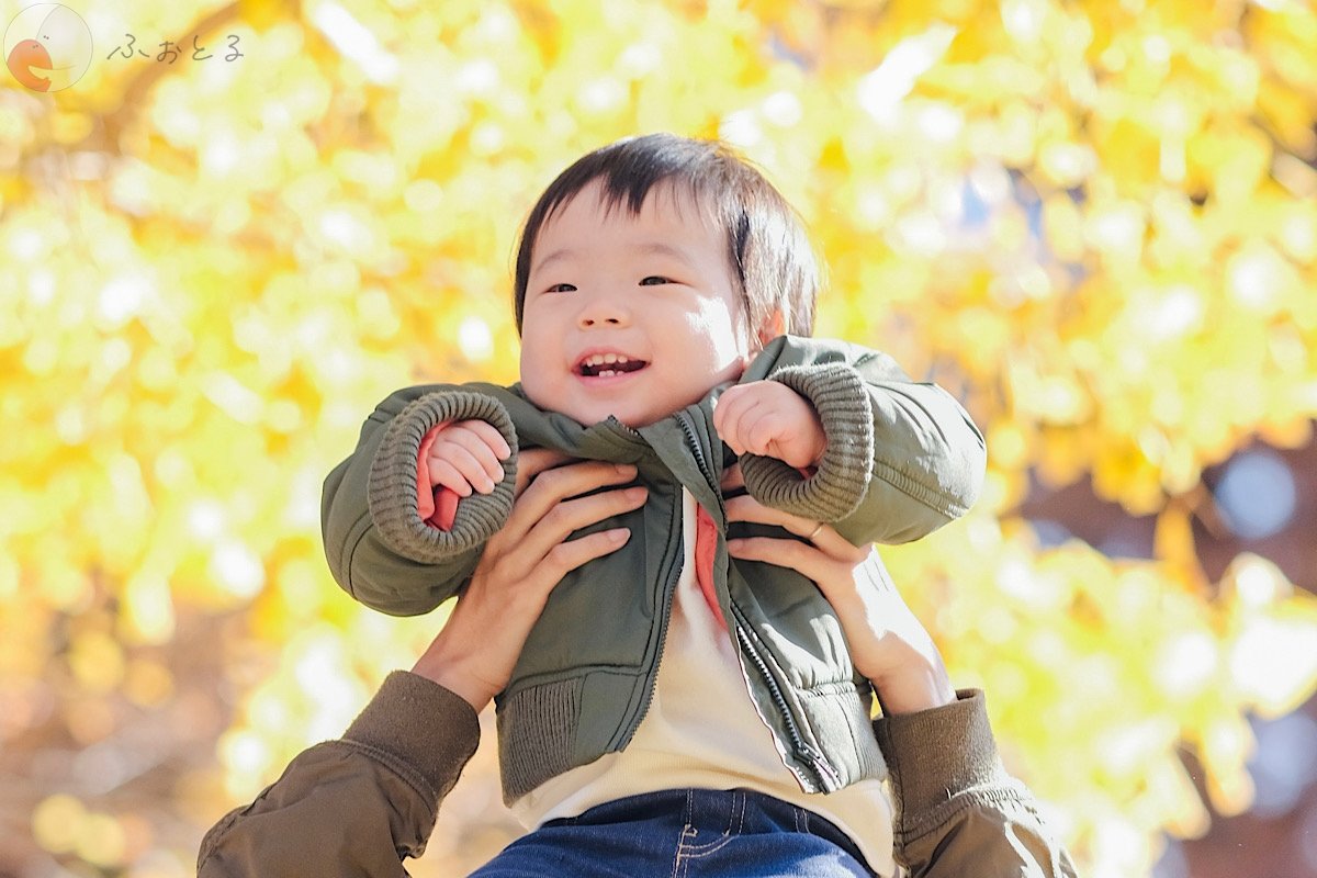 satokiのポートフォリオ1