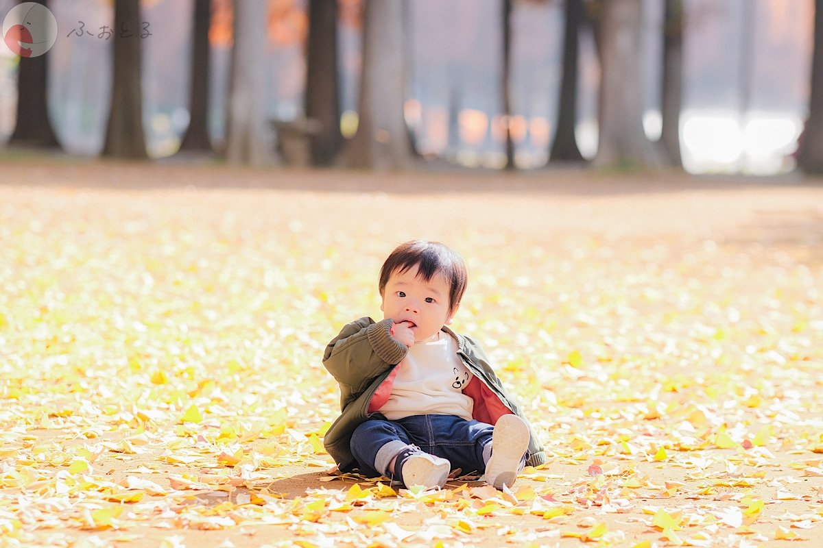 satokiのポートフォリオ3