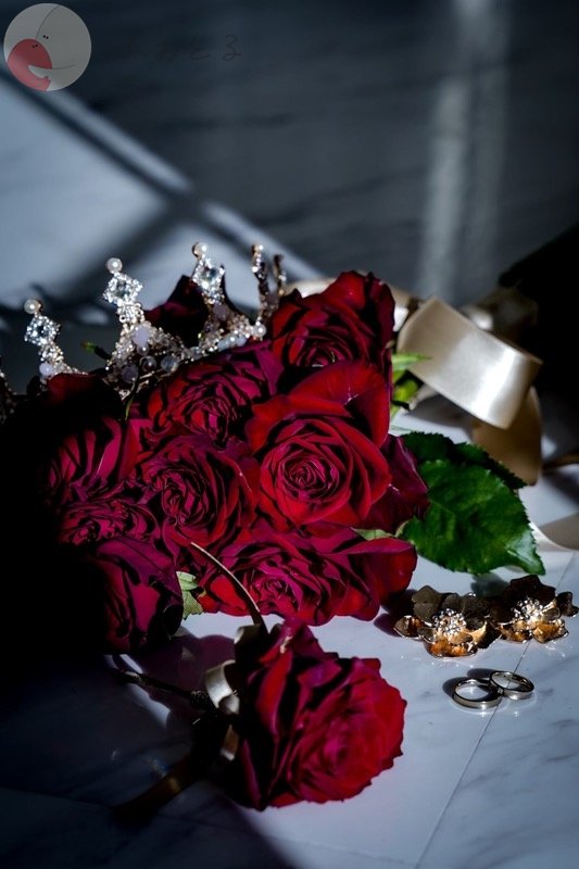 海咲-Misakiのポートフォリオ1