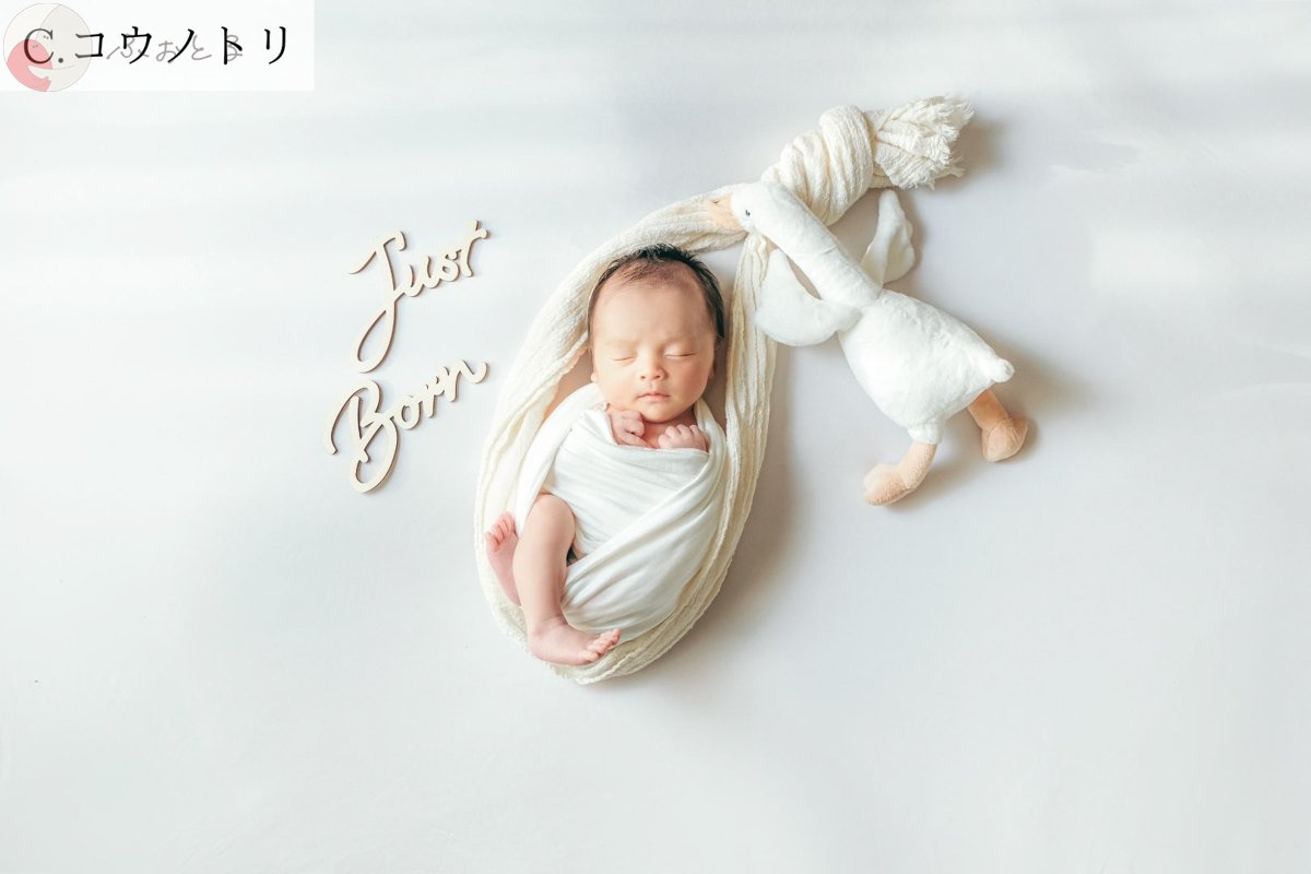 きむらじゅんじのポートフォリオ2