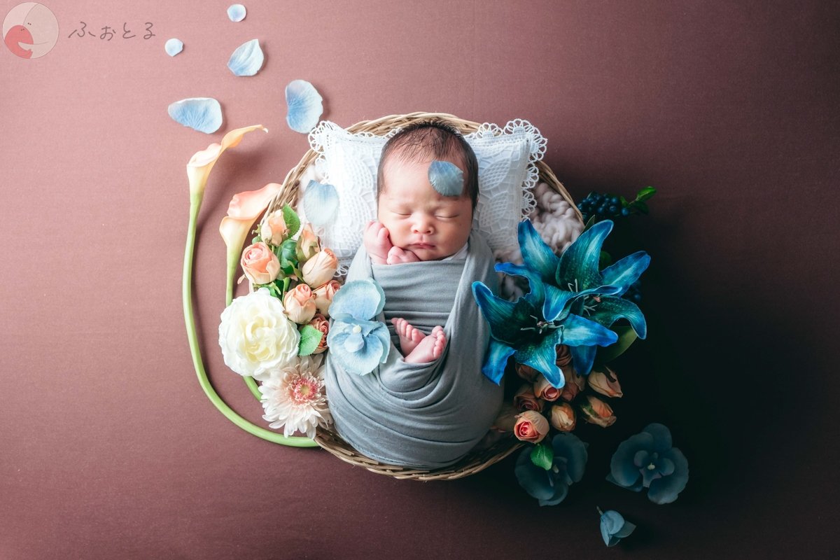 きむらじゅんじのポートフォリオ6