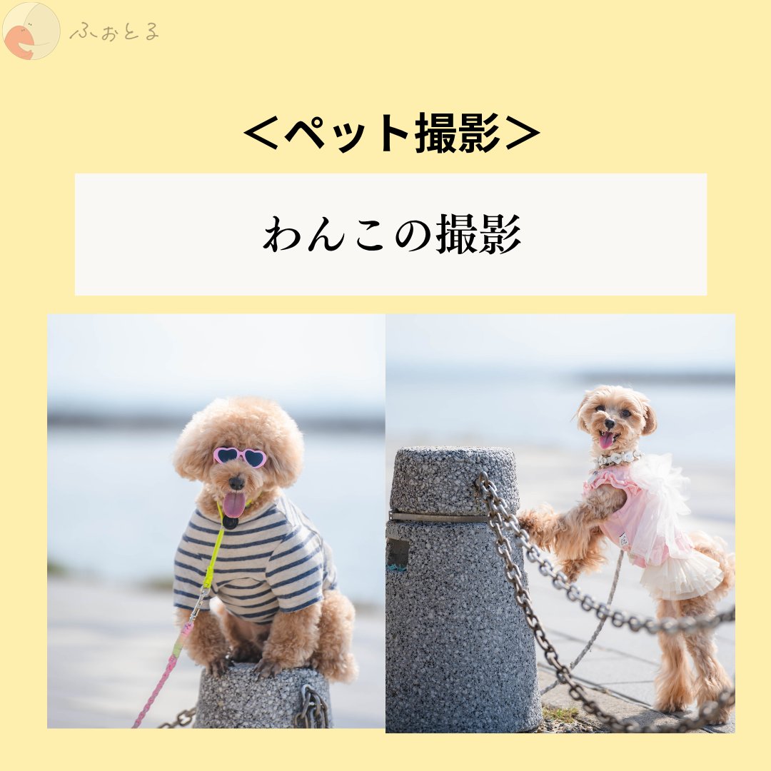 奈良　光津穂（みず）のポートフォリオ6