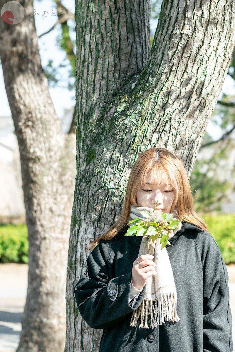 あおのポートフォリオ5