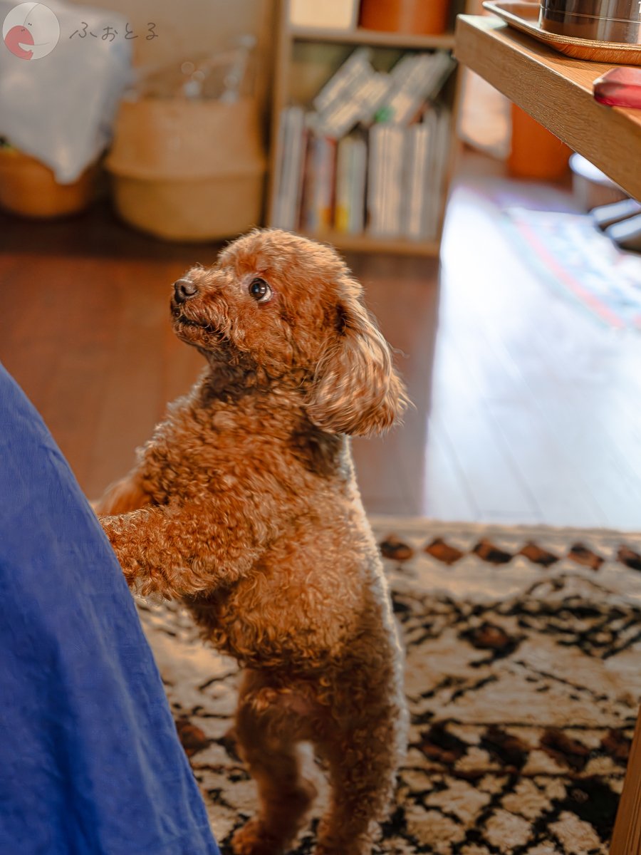 yoshioka takashiのポートフォリオ2