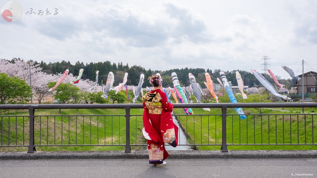 よっしーのポートフォリオ7