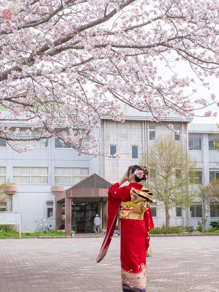 よっしーのポートフォリオ8