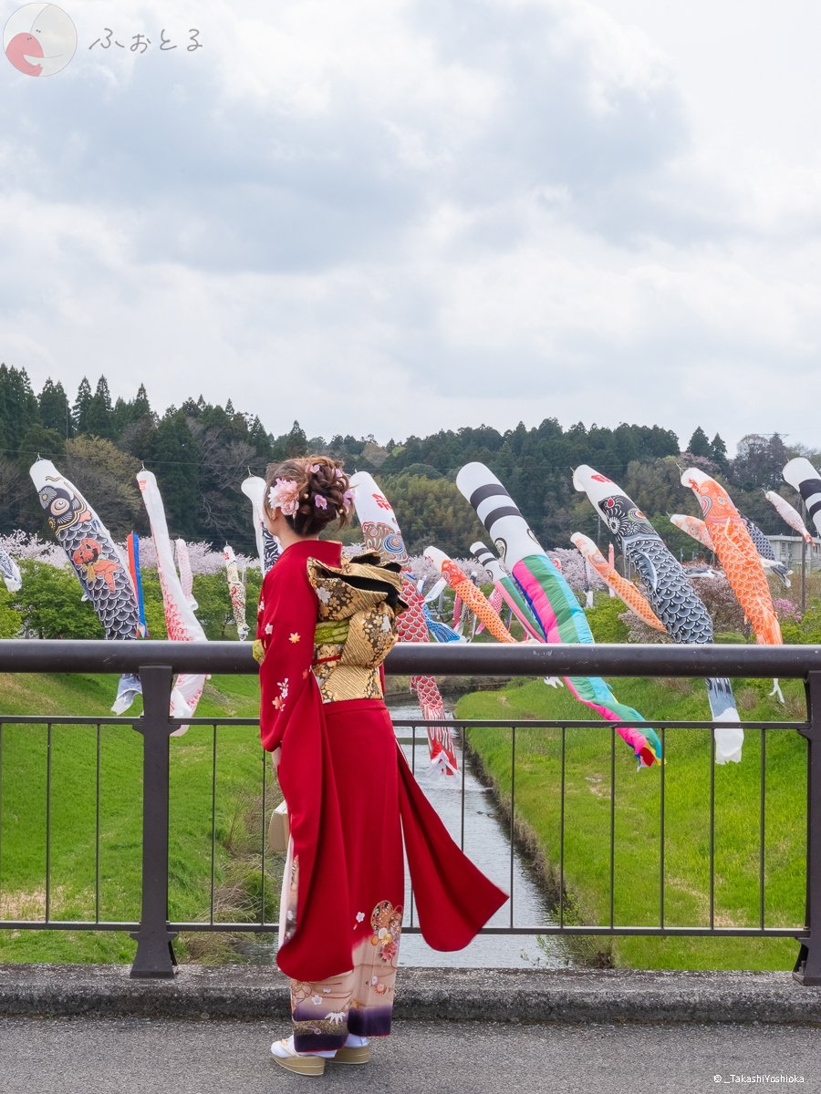 よっしーのポートフォリオ1