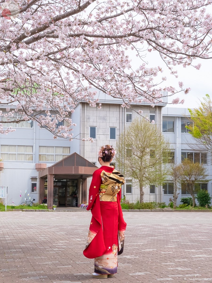 よっしーのポートフォリオ2