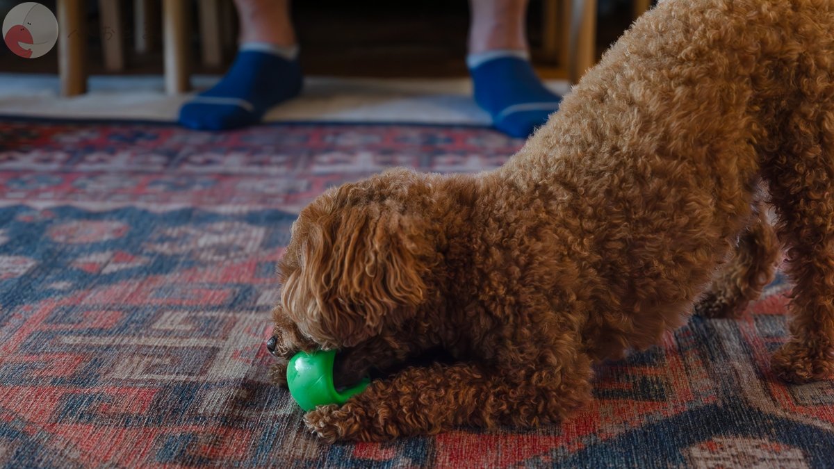 yoshioka takashiのポートフォリオ2