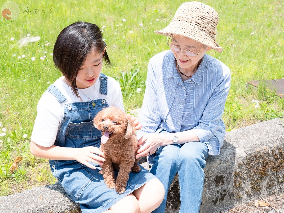 よっしーのポートフォリオ8