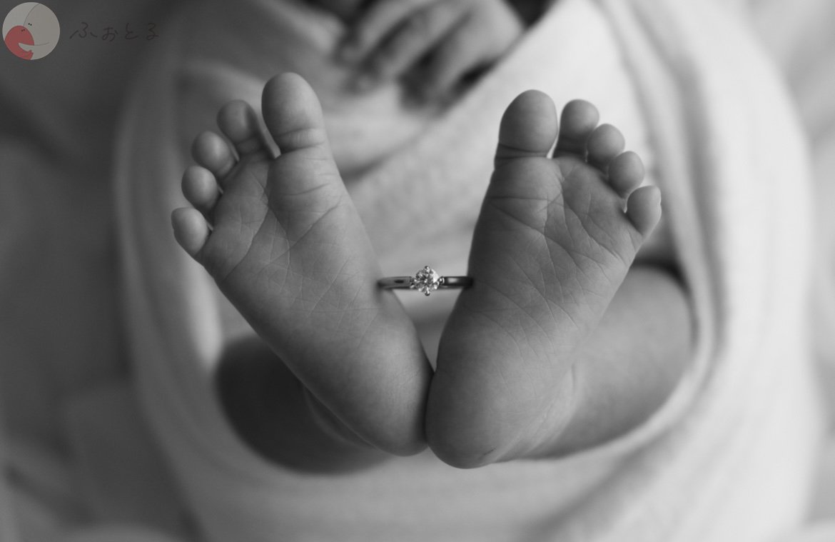 lysplume ゆりのポートフォリオ0