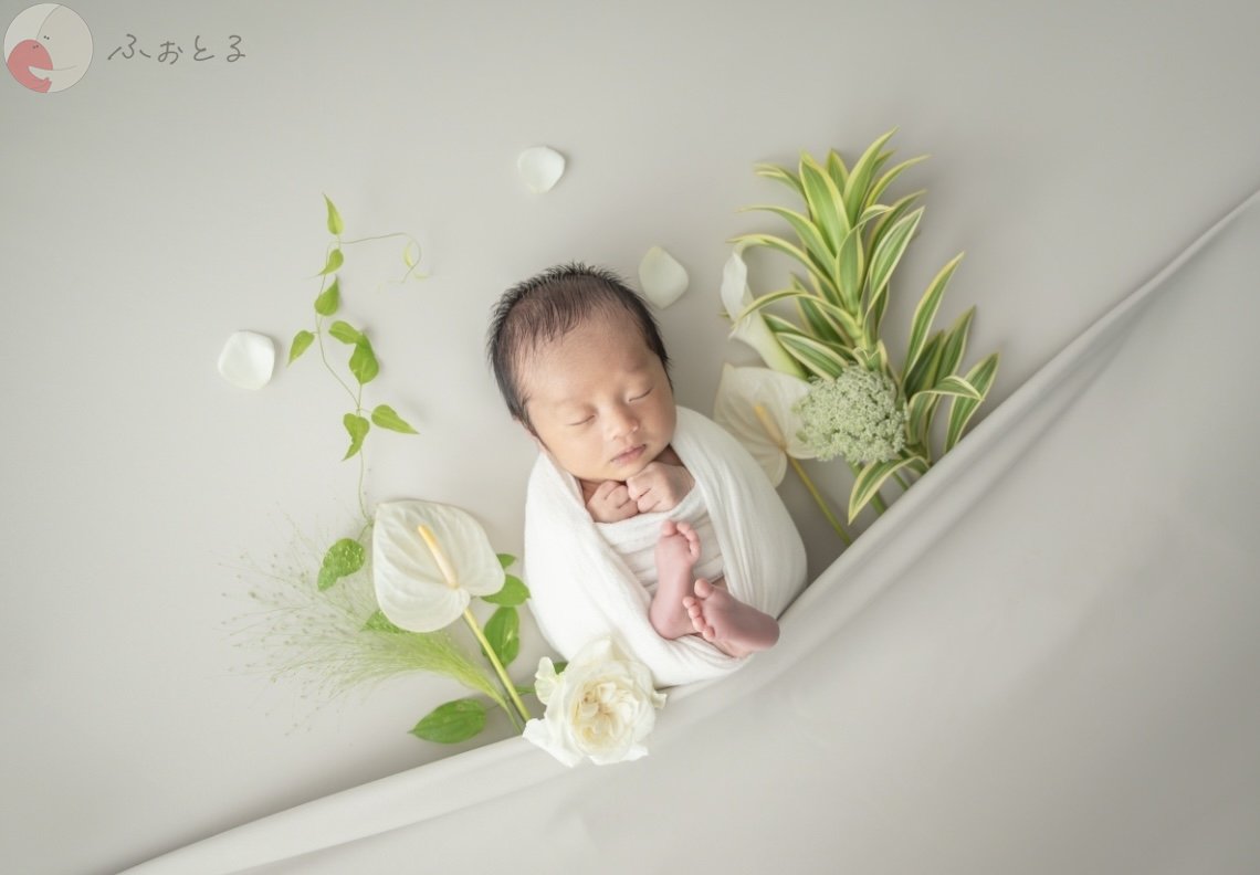 lysplume ゆりのポートフォリオ0