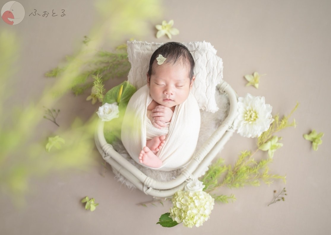 lysplume ゆりのポートフォリオ1