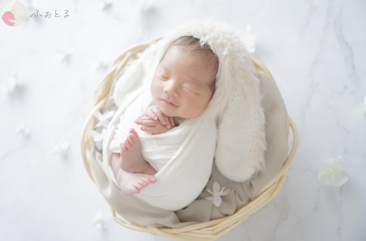 lysplume ゆりのポートフォリオ2