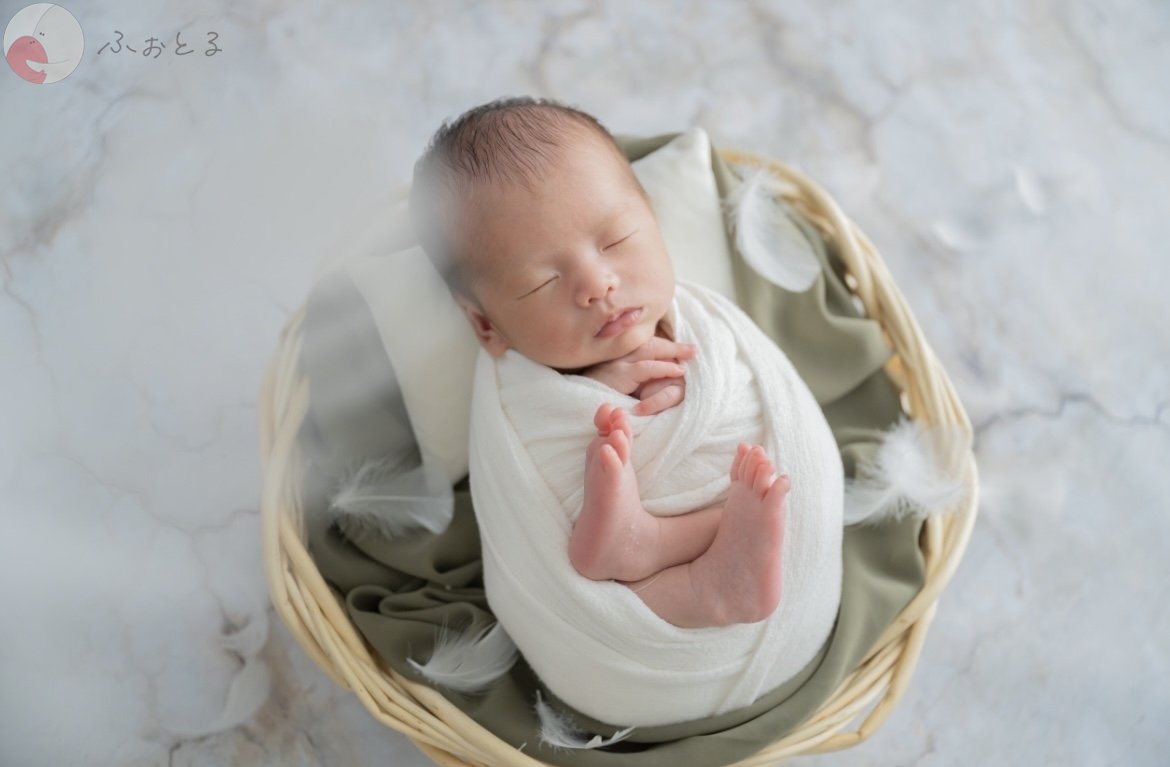 lysplume ゆりのポートフォリオ7