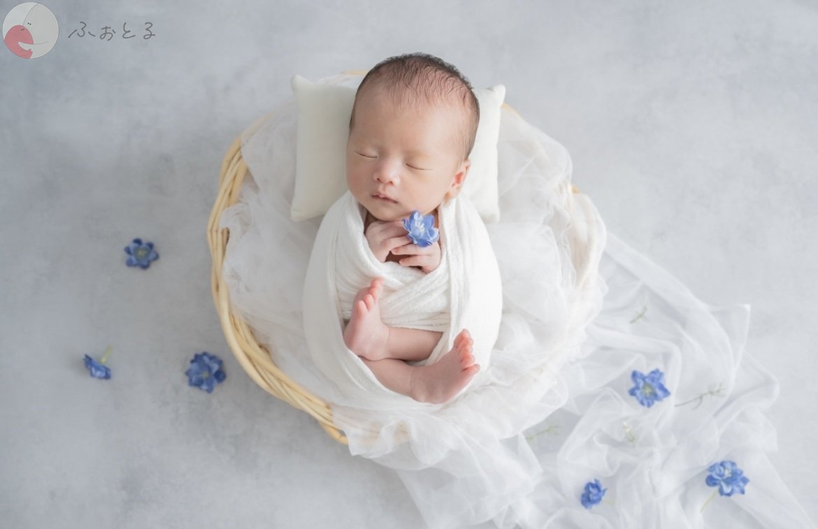 lysplume ゆりのポートフォリオ1