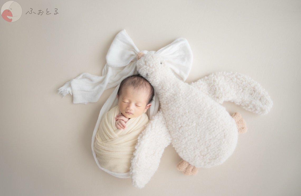 lysplume ゆりのポートフォリオ1