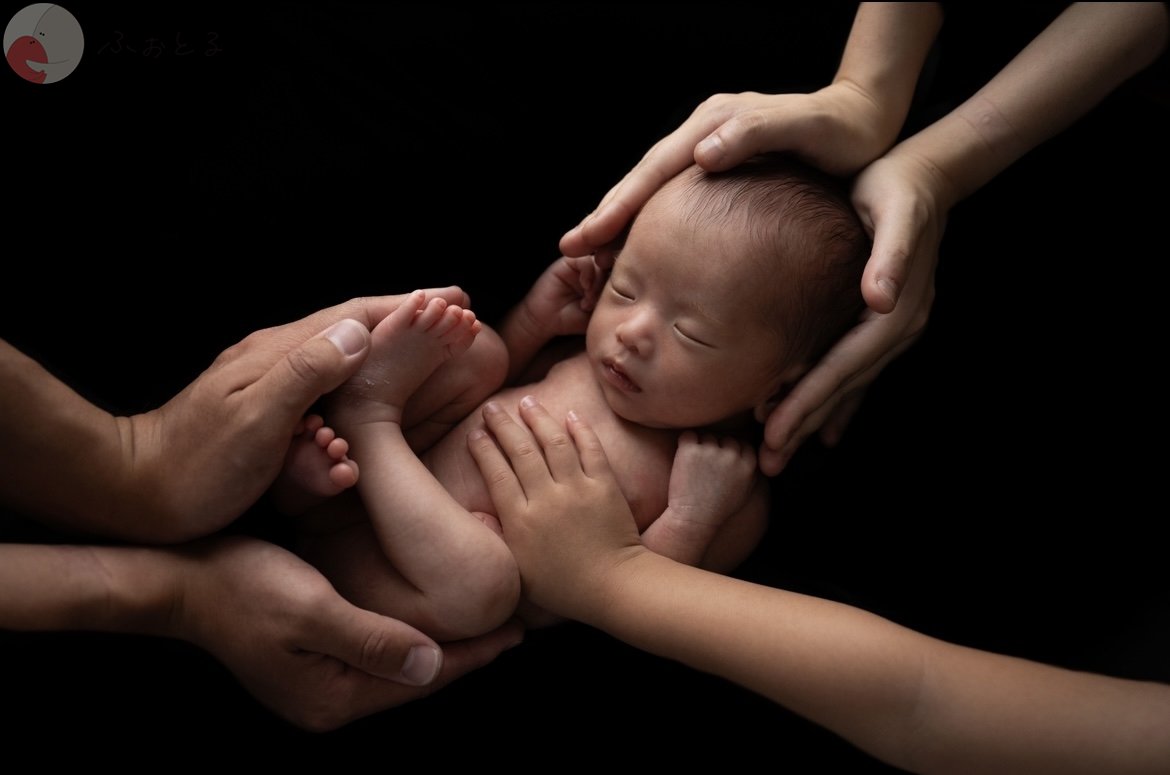 lysplume ゆりのポートフォリオ8