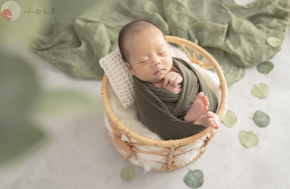 lysplume ゆりのポートフォリオ2