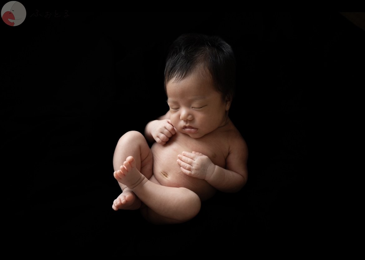 lysplume ゆりのポートフォリオ1