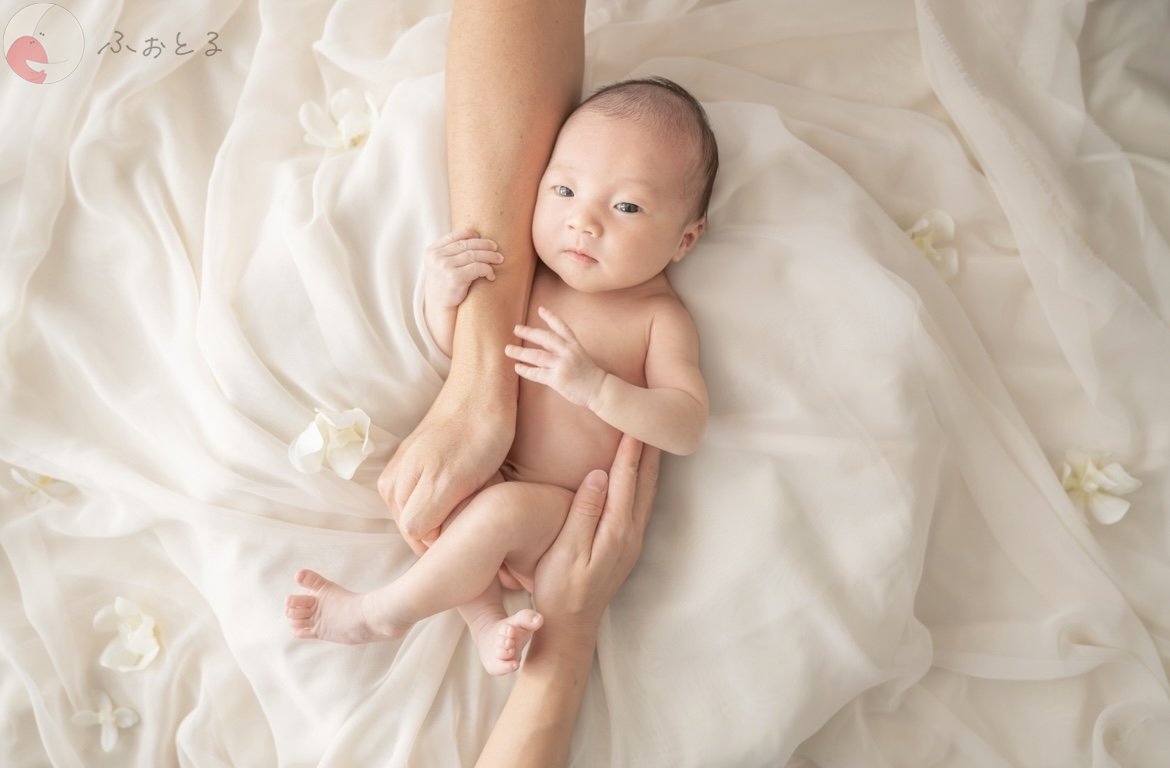 lysplume ゆりのポートフォリオ2