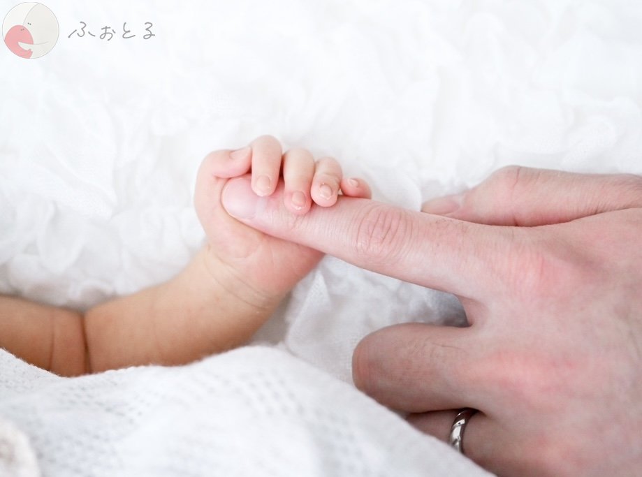 lysplume ゆりのポートフォリオ3