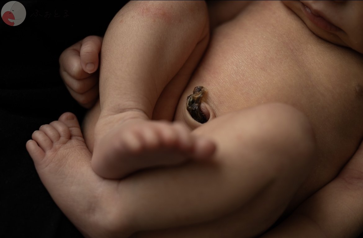 lysplume ゆりのポートフォリオ4