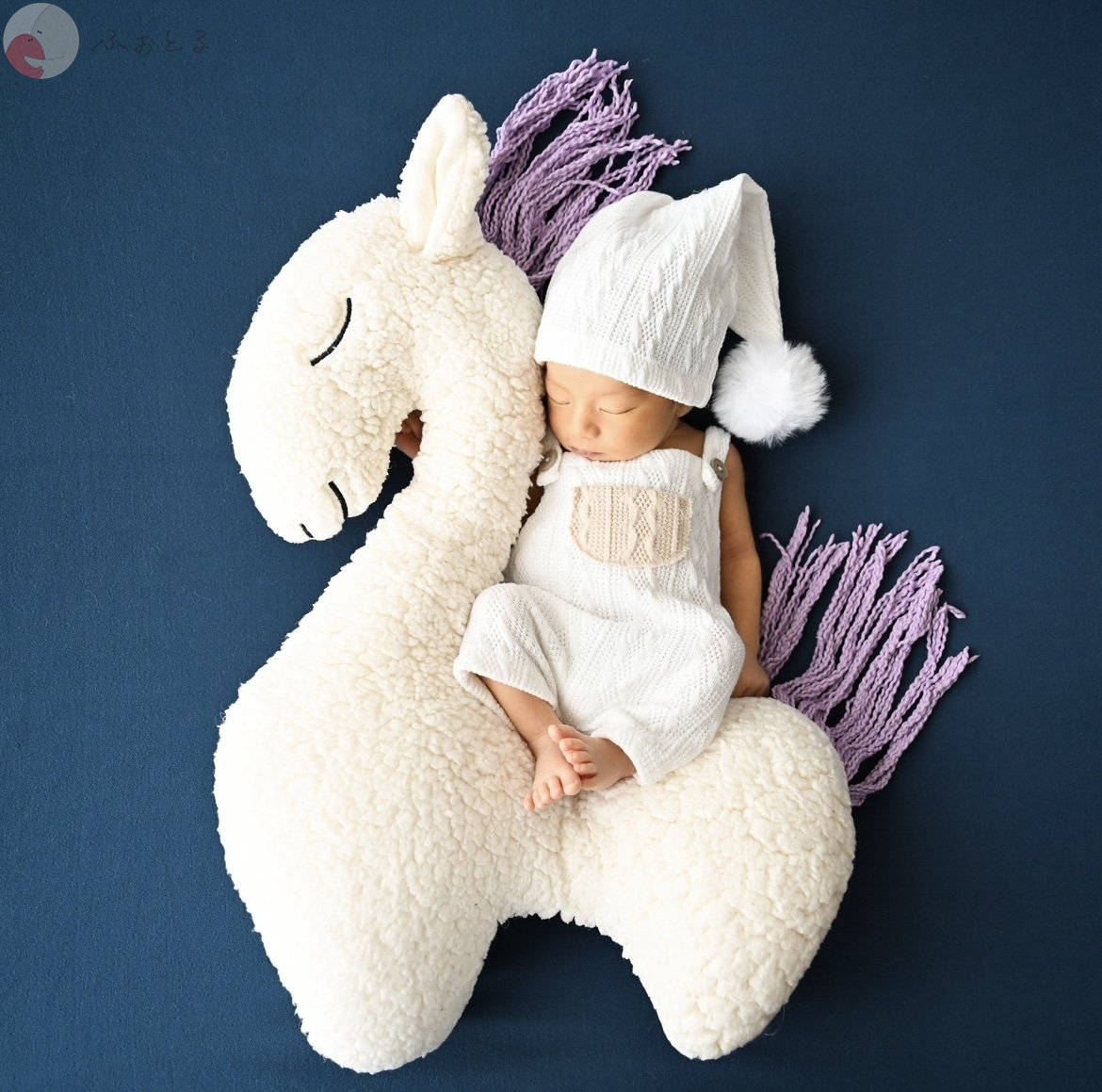 lysplume ゆりのポートフォリオ8