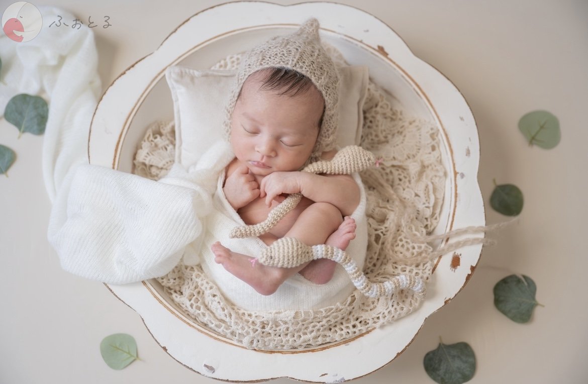 lysplume ゆりのポートフォリオ5