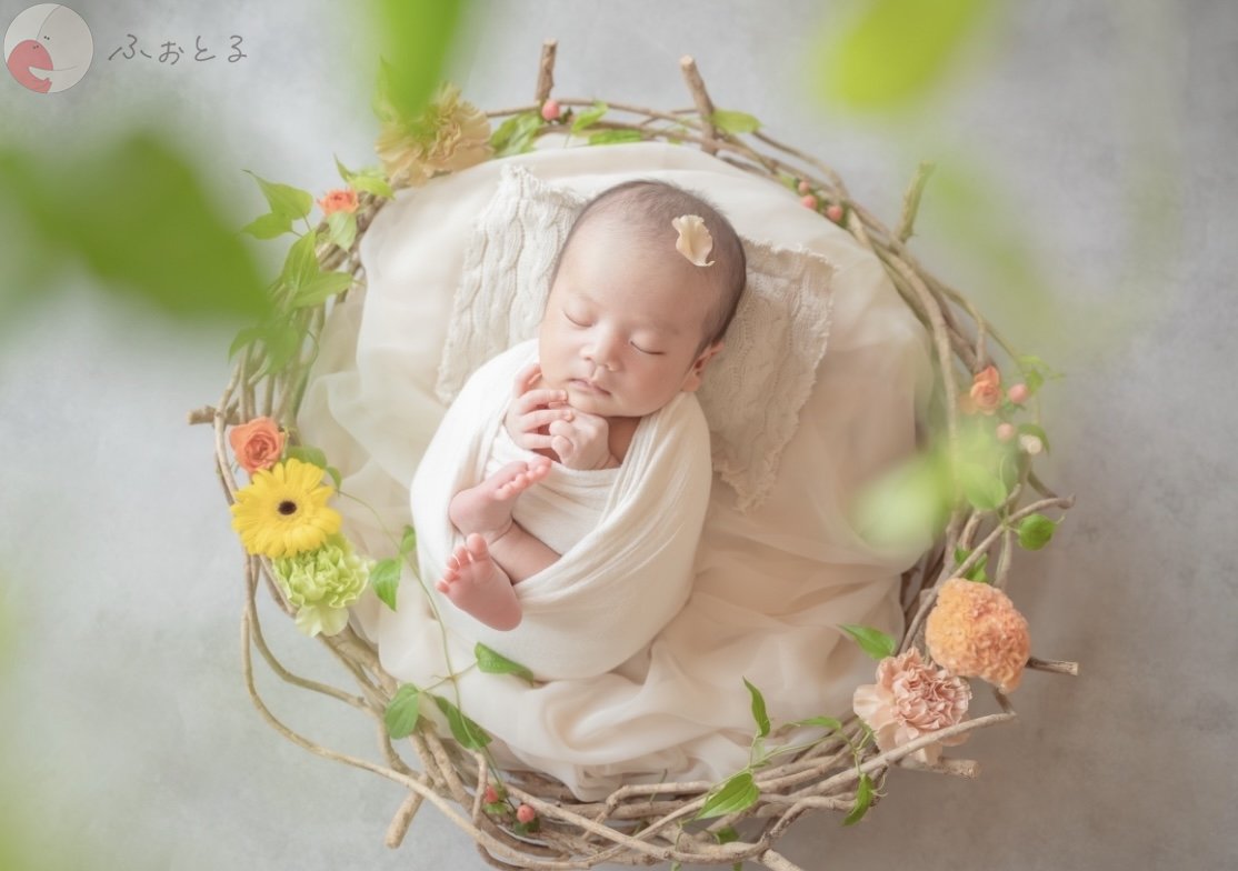 lysplume ゆりのポートフォリオ8