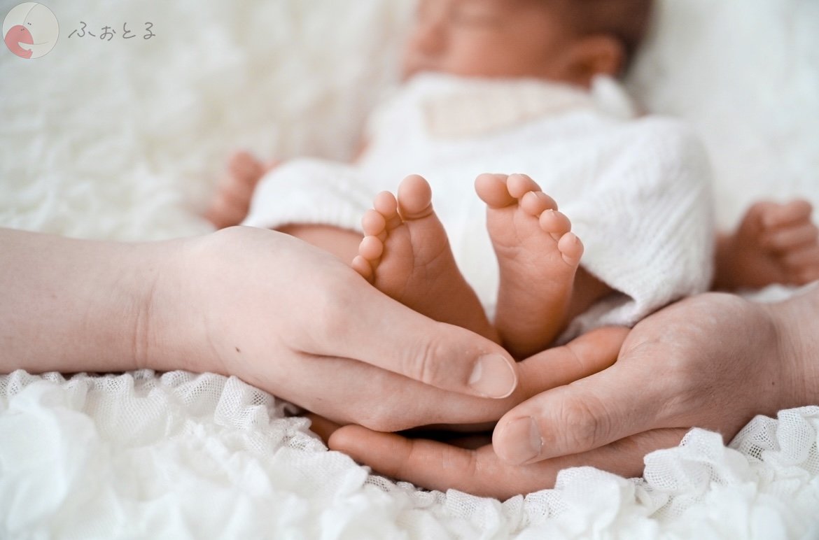 lysplume ゆりのポートフォリオ9